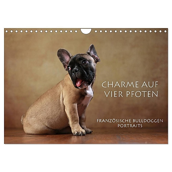 Charme auf vier Pfoten - Französische Bulldoggen Portraits (Wandkalender 2024 DIN A4 quer), CALVENDO Monatskalender, Jana Behr