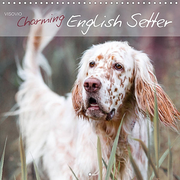 Charming English Setter (Wall Calendar 2023 300 × 300 mm Square), VISOVIO