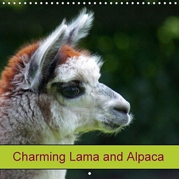 Charming Lama and Alpaca (Wall Calendar 2017 300 × 300 mm Square), Kattobello