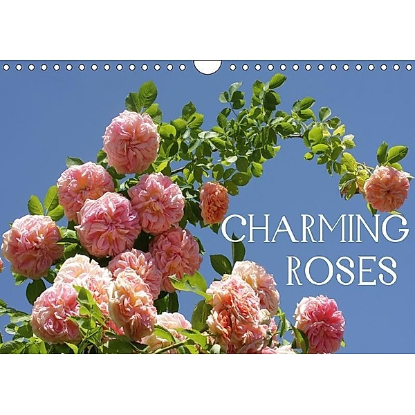 Charming Roses (Wall Calendar 2017 DIN A4 Landscape), Gisela Kruse