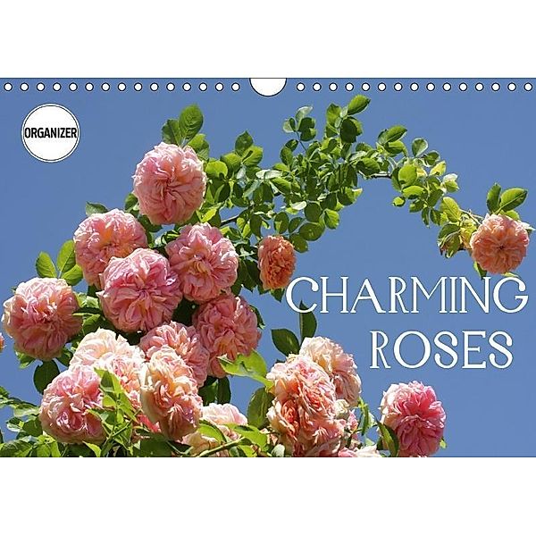 Charming Roses (Wall Calendar 2018 DIN A4 Landscape), Gisela Kruse