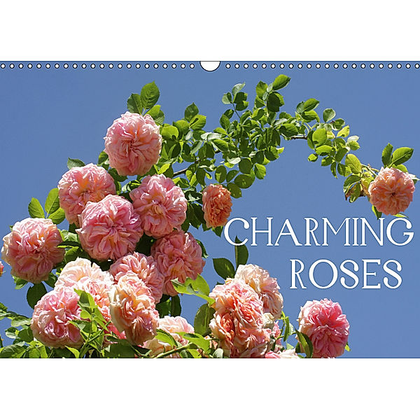 Charming Roses (Wall Calendar 2019 DIN A3 Landscape), Gisela Kruse