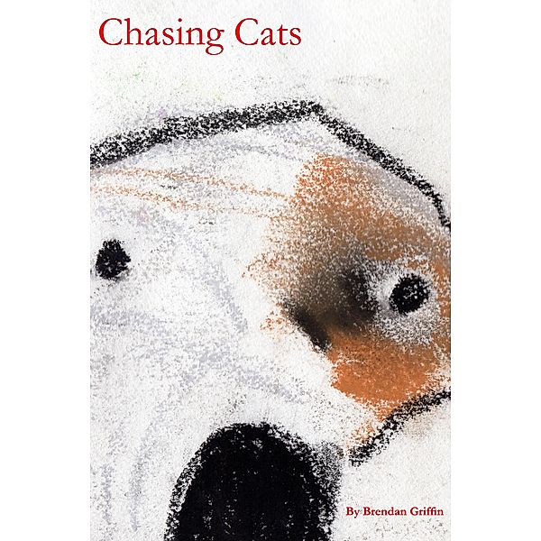 Chasing Cats, Brendan Griffin