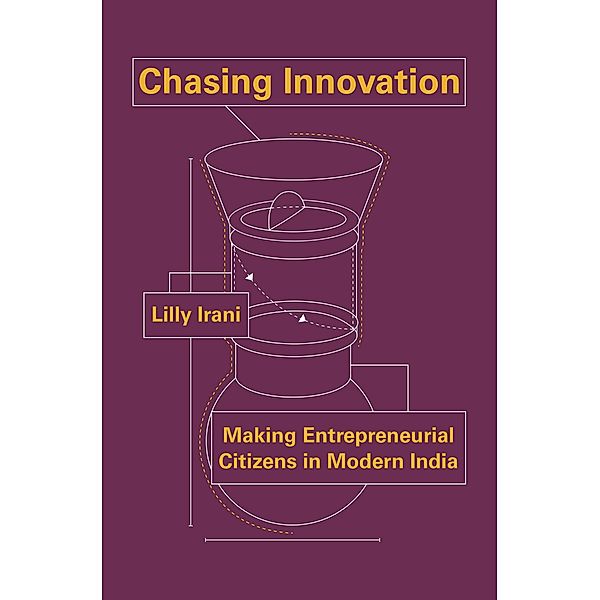 Chasing Innovation / Princeton Studies in Culture and Technology Bd.14, Lilly Irani