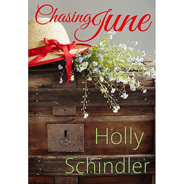 Chasing June, Holly Schindler