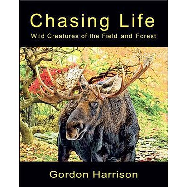 Chasing Life, Gordon James Harrison