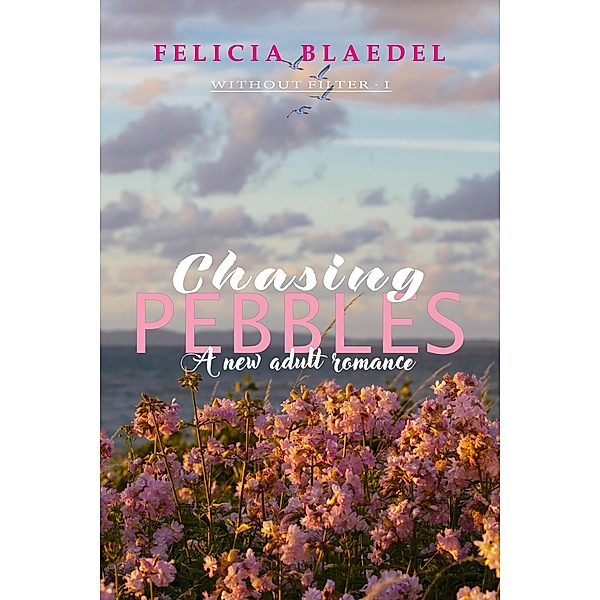 Chasing Pebbles (The Without Filter Series, #1) / The Without Filter Series, Felicia Blaedel