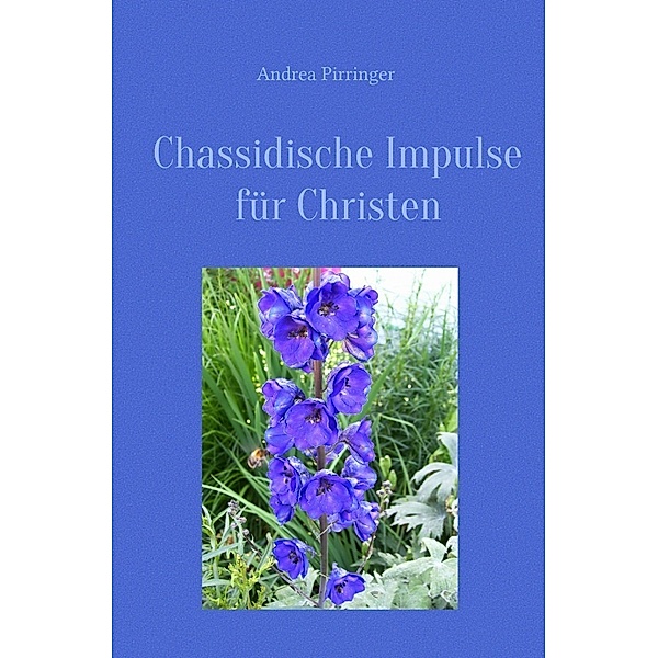 Chassidische Impulse für Christen, Andrea Pirringer