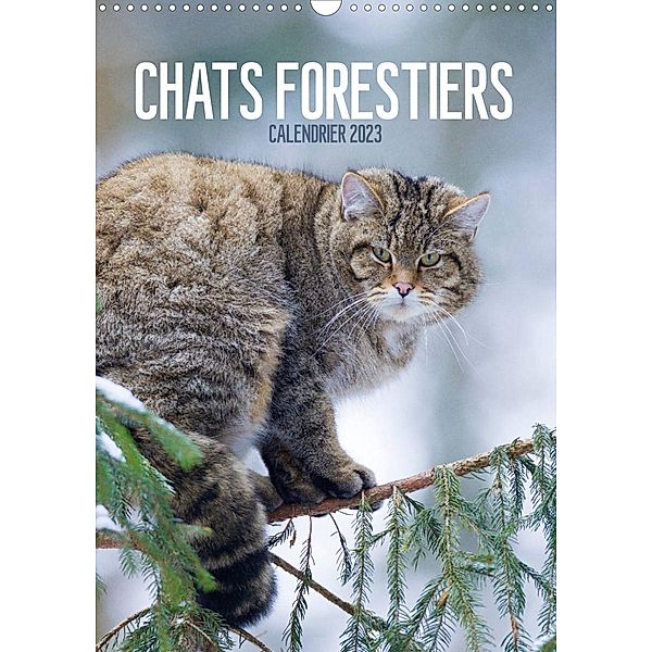 Chats forestiers (Calendrier mural 2023 DIN A3 vertical), Christina Krutz