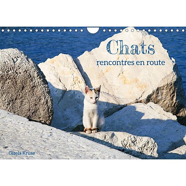 Chats - rencontres en route (Calendrier mural 2022 DIN A4 horizontal), Gisela Kruse