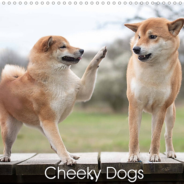 Cheeky Dogs (Wall Calendar 2023 300 × 300 mm Square), Tamashinu Photography