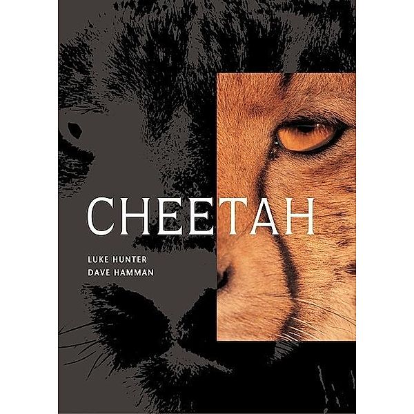 Cheetah, Luke Hunter