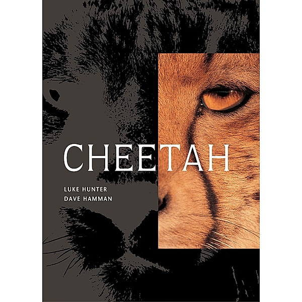 Cheetah, Luke Hunter