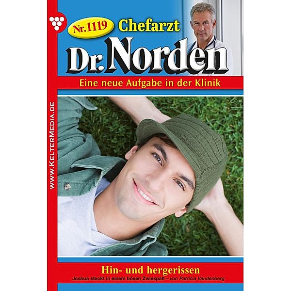 Chefarzt Dr. Norden 1119 - Arztroman / Chefarzt Dr. Norden Bd.1119, Patricia Vandenberg