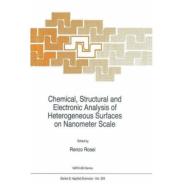 Chemical, Structural and Electronic Analysis of Heterogeneous Surfaces on Nanometer Scale / NATO Science Series E: Bd.333