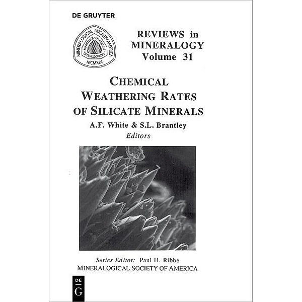 Chemical Weathering Rates of Silicate Minerals / Reviews in Mineralogy and Geochemistry Bd.31