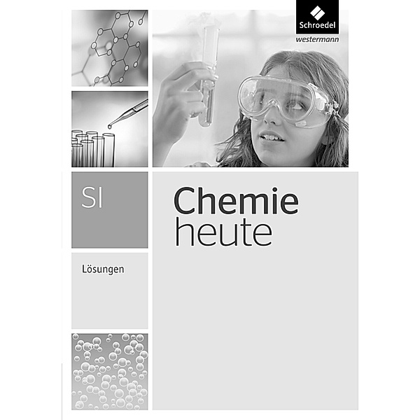 Chemie heute SI - Ausgabe 2013