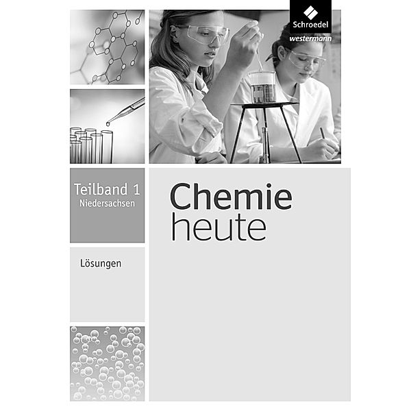 Chemie heute SI - Ausgabe 2013 für Niedersachsen
