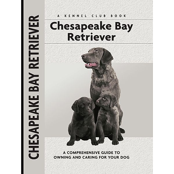 Chesapeake Bay Retriever / Comprehensive Owner's Guide, Nona Kilgore Bauer