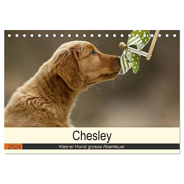 Chesley Kleiner Hund grosse Abenteuer (Tischkalender 2024 DIN A5 quer), CALVENDO Monatskalender, Hundefotografie Bea Müller