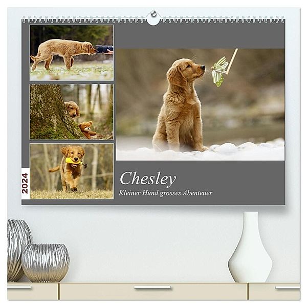 Chesley Kleiner Hund Grosses Abenteuer (hochwertiger Premium Wandkalender 2024 DIN A2 quer), Kunstdruck in Hochglanz, Hundfotografin Bea Müller