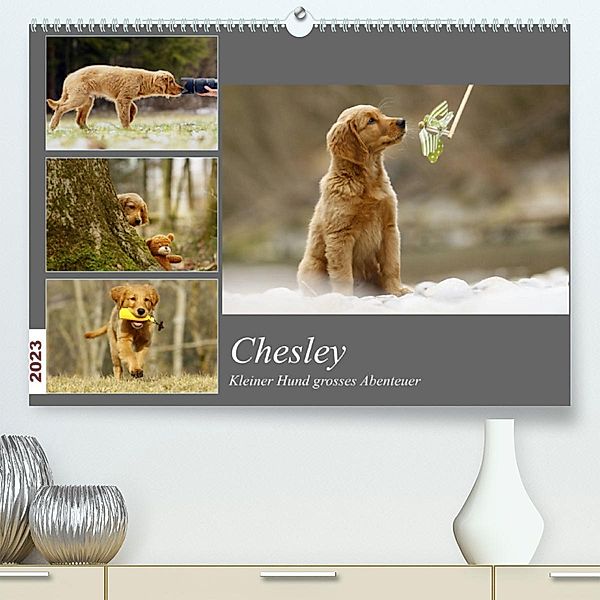 Chesley Kleiner Hund Grosses AbenteuerCH-Version  (Premium, hochwertiger DIN A2 Wandkalender 2023, Kunstdruck in Hochgla, Hundfotografin Bea Müller