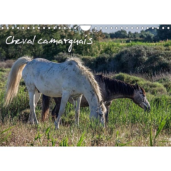 Cheval camarguais (Calendrier mural 2023 DIN A4 horizontal), Francis Demange Photographe