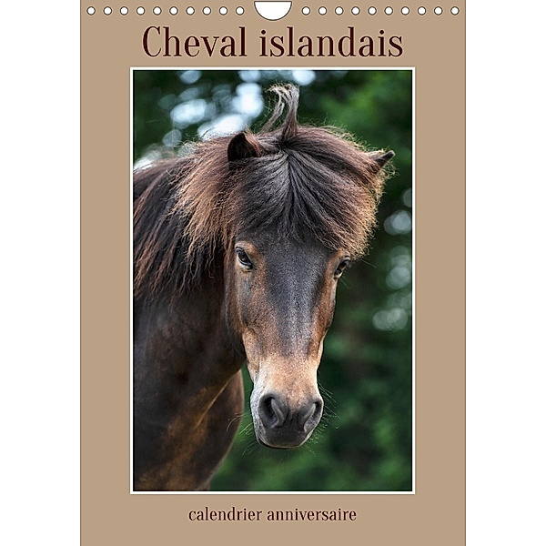 Cheval islandais - calendrier anniversaire (Calendrier mural Calendrier perpétuel DIN A4 vertical), Stephanie Kohrt