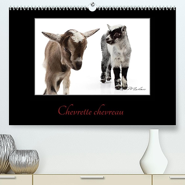 Chevrette chevreau (Premium, hochwertiger DIN A2 Wandkalender 2023, Kunstdruck in Hochglanz), Kathy mahevo