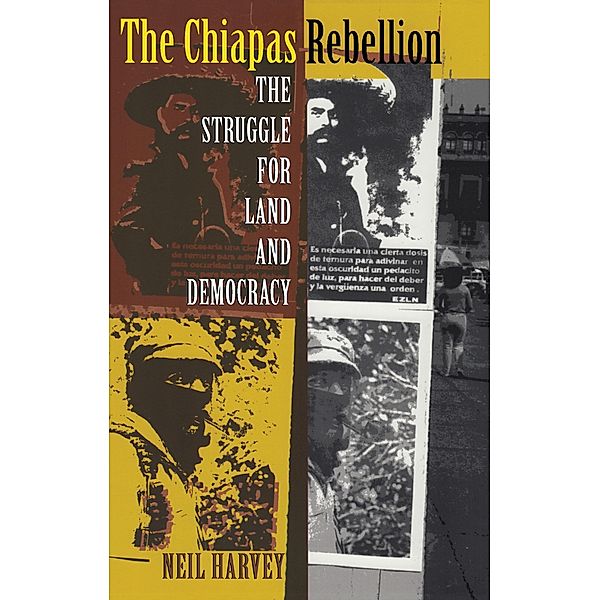 Chiapas Rebellion, Harvey Neil Harvey