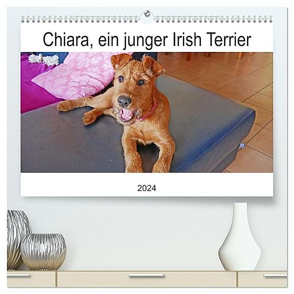 Chiara, ein junger Irish Terrier (hochwertiger Premium Wandkalender 2024 DIN A2 quer), Kunstdruck in Hochglanz, Claudia Schimon