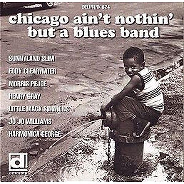Chicago Ain'T Nothin' But A Blues Band, Diverse Interpreten