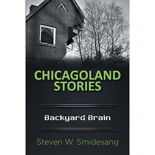 Chicagoland Stories / Page Publishing, Inc., Steven W. Smidesang