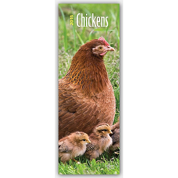 Chickens 2015 Slimline Calendar