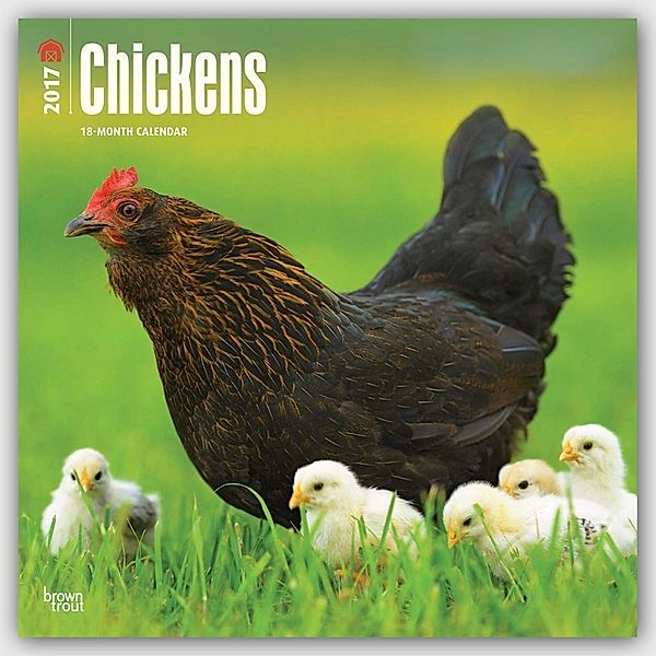 Chickens 2017 Square, Inc Browntrout Publishers