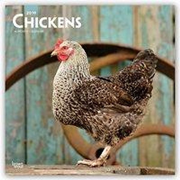 Chickens 2019 Square, Inc Browntrout Publishers