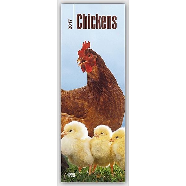 Chickens - Hühner 2017