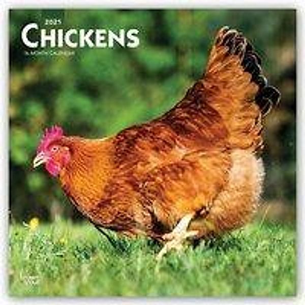 Chickens - Hühner 2021 - 16-Monatskalender, Chickens 2021