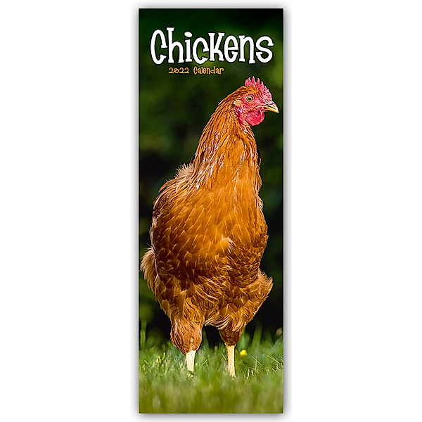 Chickens - Hühner 2022, Avonside Publishing Ltd