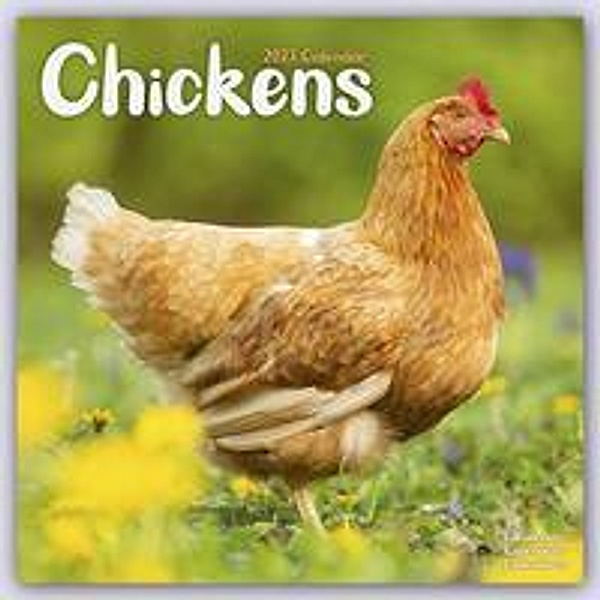 Chickens - Hühner 2023 - 16-Monatskalender, Avonside Publishing Ltd