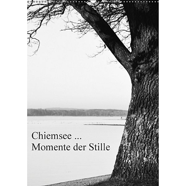 Chiemsee ... Momente der Stille (Wandkalender 2017 DIN A2 hoch), Renate Wasinger