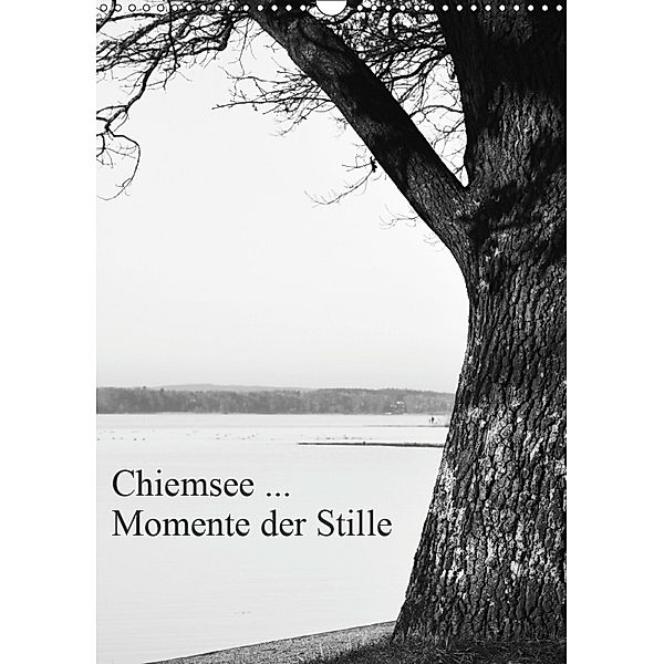 Chiemsee ... Momente der Stille (Wandkalender 2019 DIN A3 hoch), Renate Wasinger
