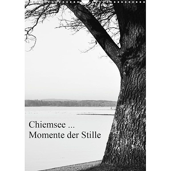 Chiemsee ... Momente der Stille (Wandkalender 2020 DIN A3 hoch), Renate Wasinger