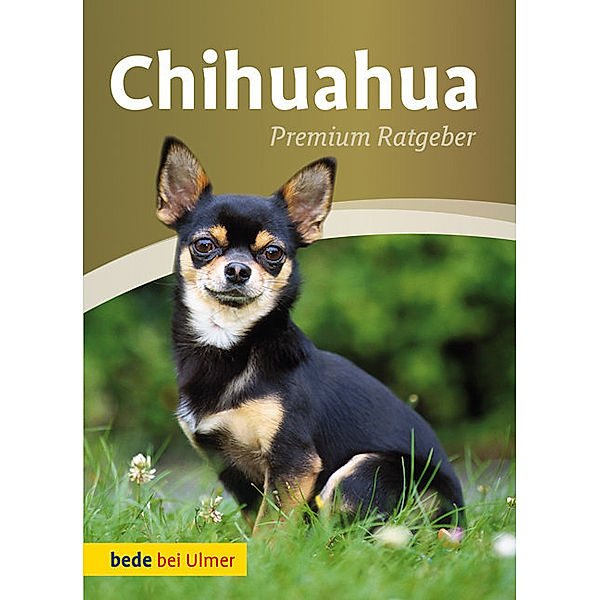 Chihuahua, Andrea Gerkens-August, Annette Schmitt