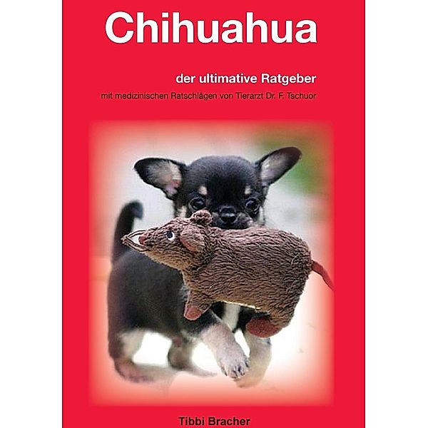 Chihuahua, Tibbi Bracher