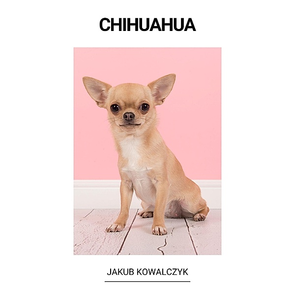 Chihuahua, Jakub Kowalczyk