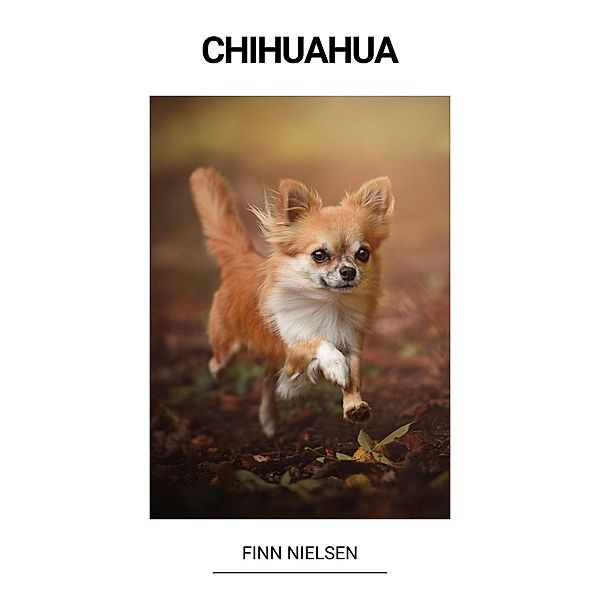 Chihuahua, Finn Nielsen