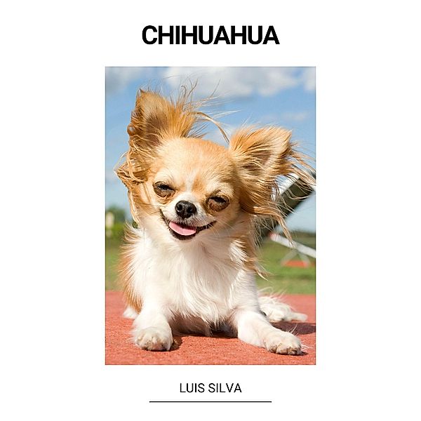 Chihuahua, Luis Silva