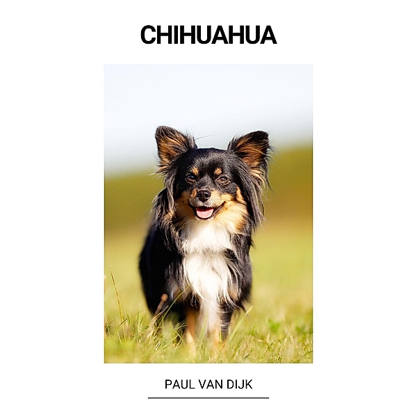 Chihuahua, Paul van Dijk
