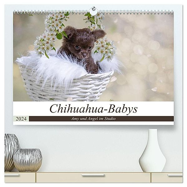 Chihuahua-Babys - Amy und Angel im Studio (hochwertiger Premium Wandkalender 2024 DIN A2 quer), Kunstdruck in Hochglanz, Sonja Teßen